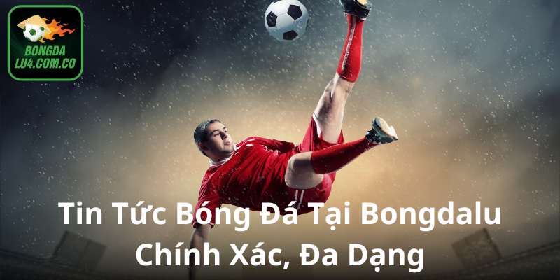 Bongdalu cung cấp tin tức đa dạng, chính xác