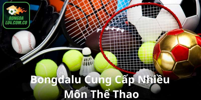 Bongdalu cung cấp thông tin nhiều môn thể thao