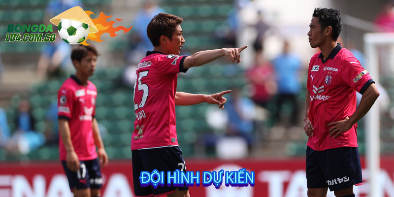 Đội hình dự kiến