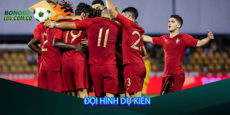 Đội hình dự kiến