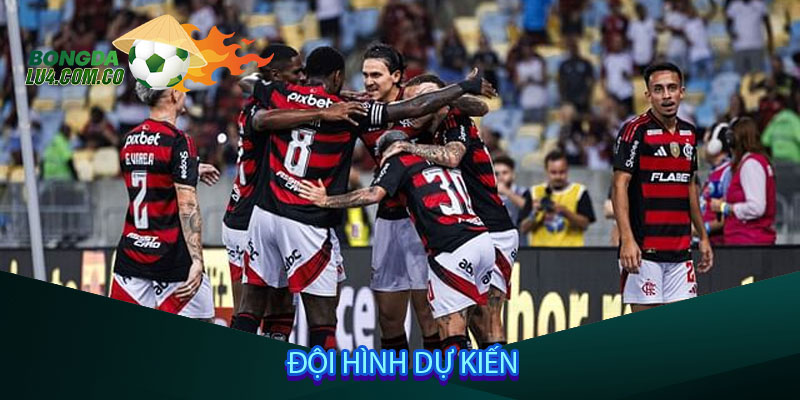 Đội hình dự kiến