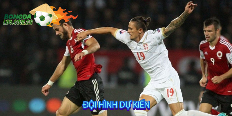 Đội hình dự kiến