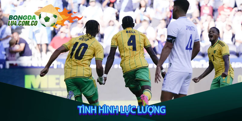 Tình hình lực lượng