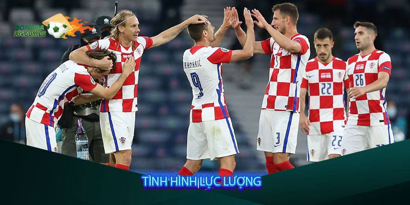 Tình hình lực lượng