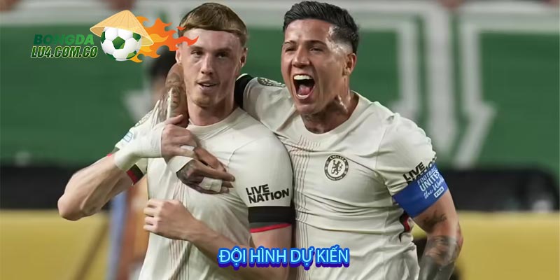 Đội hình dự kiến